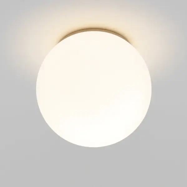 Sphere LED Ceiling Light